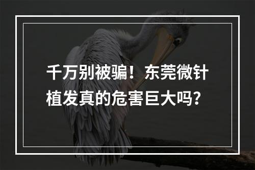 千万别被骗！东莞微针植发真的危害巨大吗？