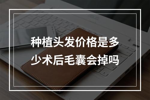 种植头发价格是多少术后毛囊会掉吗