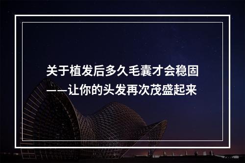 关于植发后多久毛囊才会稳固——让你的头发再次茂盛起来