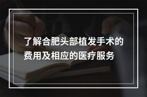 了解合肥头部植发手术的费用及相应的医疗服务