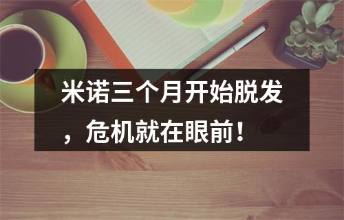 米诺三个月开始脱发，危机就在眼前！