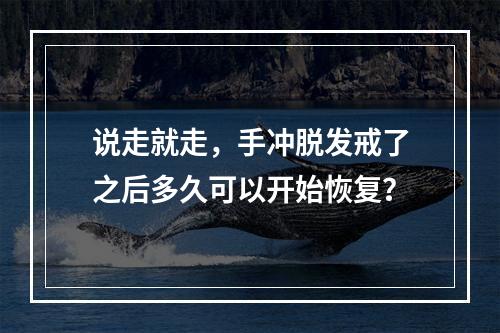 说走就走，手冲脱发戒了之后多久可以开始恢复？