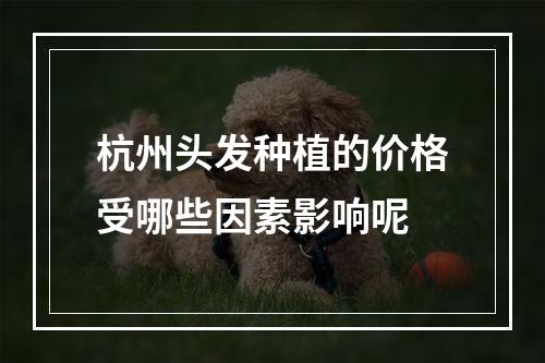 杭州头发种植的价格受哪些因素影响呢