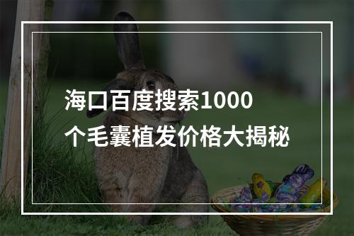 海口百度搜索1000个毛囊植发价格大揭秘