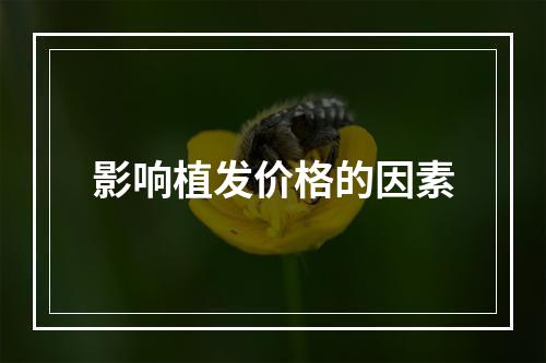 影响植发价格的因素