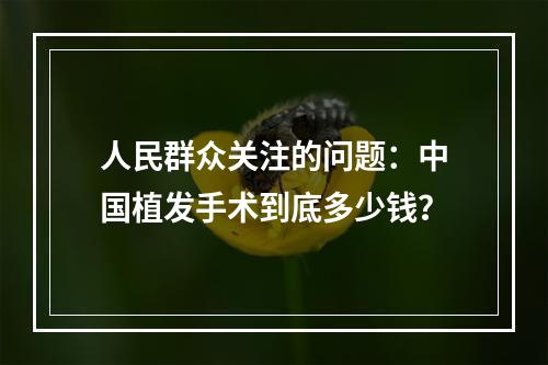 人民群众关注的问题：中国植发手术到底多少钱？