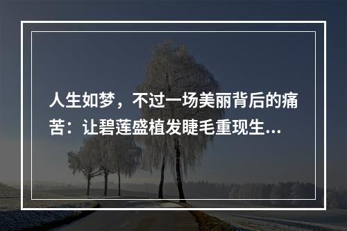 人生如梦，不过一场美丽背后的痛苦：让碧莲盛植发睫毛重现生机的经历