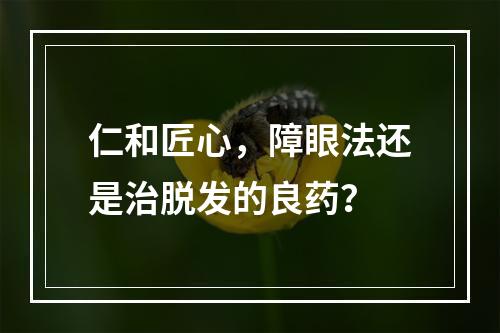 仁和匠心，障眼法还是治脱发的良药？