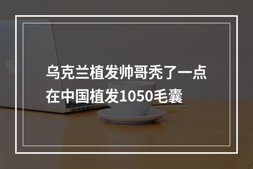 乌克兰植发帅哥秃了一点在中国植发1050毛囊