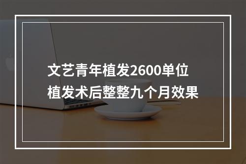 文艺青年植发2600单位植发术后整整九个月效果