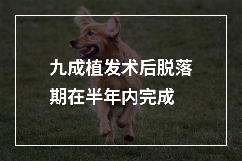 九成植发术后脱落期在半年内完成