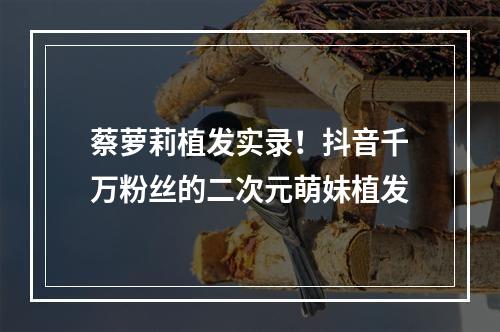 蔡萝莉植发实录！抖音千万粉丝的二次元萌妹植发