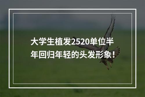 大学生植发2520单位半年回归年轻的头发形象！