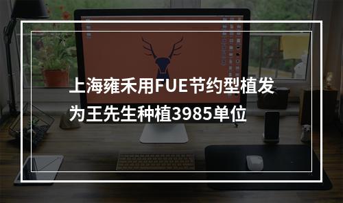 上海雍禾用FUE节约型植发为王先生种植3985单位