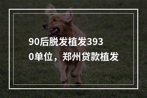 90后脱发植发3930单位，郑州贷款植发