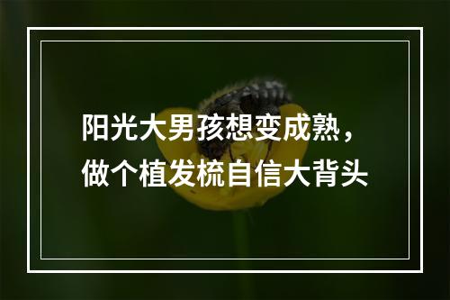 阳光大男孩想变成熟，做个植发梳自信大背头