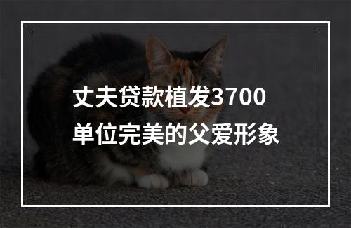 丈夫贷款植发3700单位完美的父爱形象