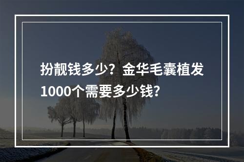 扮靓钱多少？金华毛囊植发1000个需要多少钱？