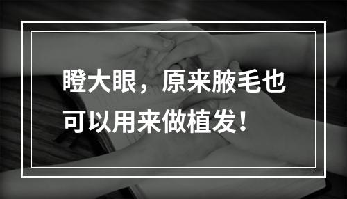 瞪大眼，原来腋毛也可以用来做植发！