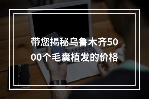 带您揭秘乌鲁木齐5000个毛囊植发的价格