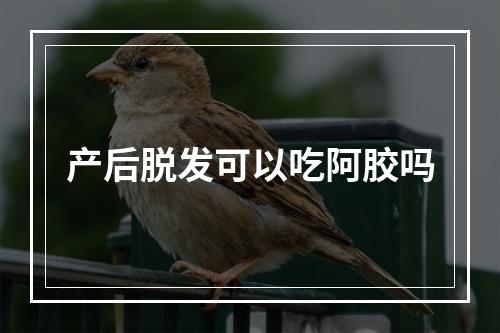 产后脱发可以吃阿胶吗