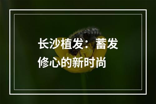 长沙植发：蓄发修心的新时尚