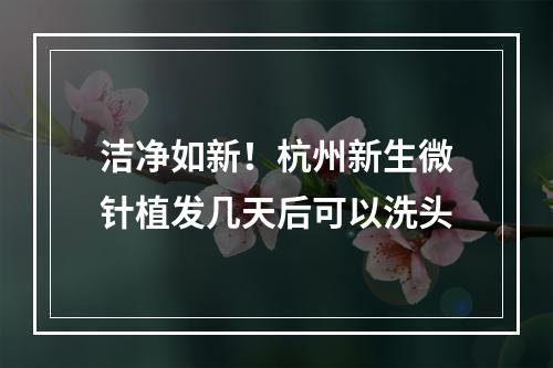 洁净如新！杭州新生微针植发几天后可以洗头