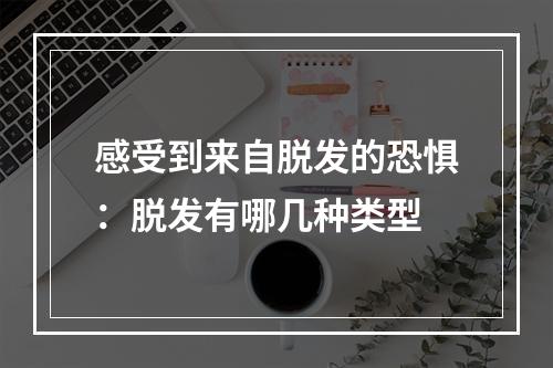 感受到来自脱发的恐惧：脱发有哪几种类型