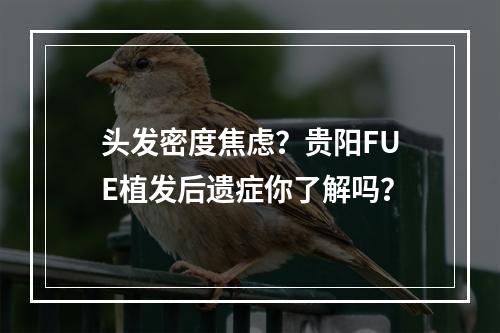 头发密度焦虑？贵阳FUE植发后遗症你了解吗？