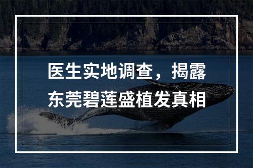 医生实地调查，揭露东莞碧莲盛植发真相