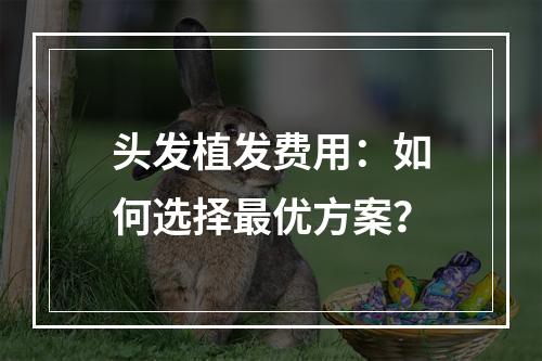 头发植发费用：如何选择最优方案？