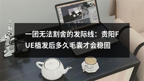 一团无法割舍的发际线：贵阳FUE植发后多久毛囊才会稳固