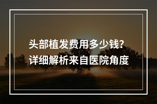 头部植发费用多少钱？详细解析来自医院角度