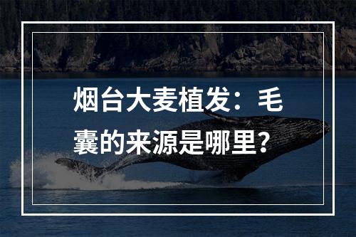 烟台大麦植发：毛囊的来源是哪里？