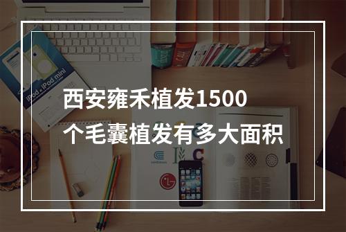 西安雍禾植发1500个毛囊植发有多大面积