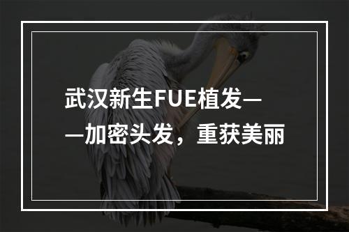 武汉新生FUE植发——加密头发，重获美丽