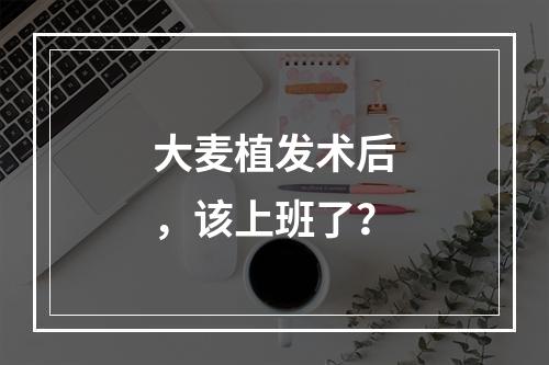 大麦植发术后，该上班了？