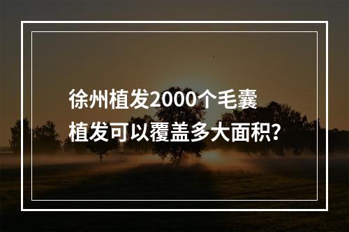 徐州植发2000个毛囊植发可以覆盖多大面积？