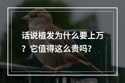 话说植发为什么要上万？它值得这么贵吗？