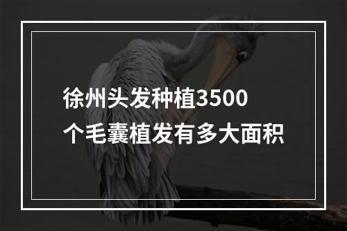 徐州头发种植3500个毛囊植发有多大面积