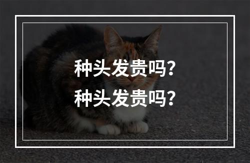 种头发贵吗？种头发贵吗？