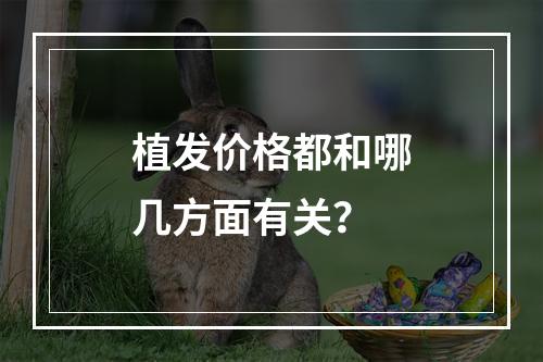 植发价格都和哪几方面有关？