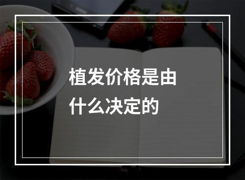 植发价格是由什么决定的