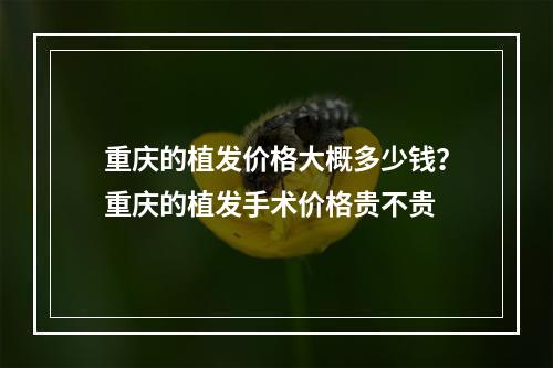 重庆的植发价格大概多少钱？重庆的植发手术价格贵不贵