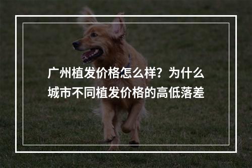 广州植发价格怎么样？为什么城市不同植发价格的高低落差