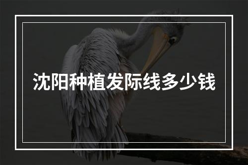 沈阳种植发际线多少钱