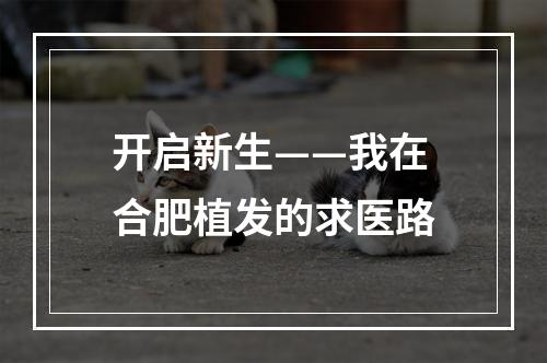 开启新生——我在合肥植发的求医路