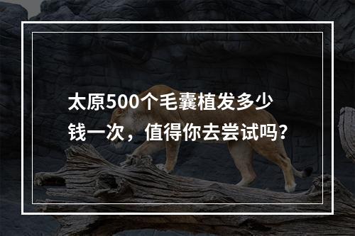 太原500个毛囊植发多少钱一次，值得你去尝试吗？