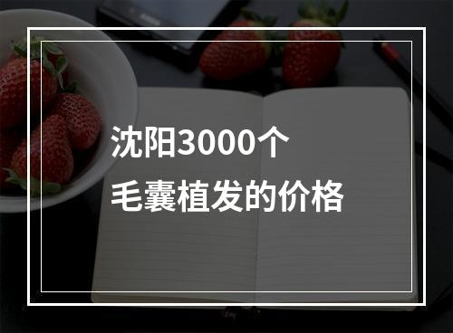 沈阳3000个毛囊植发的价格