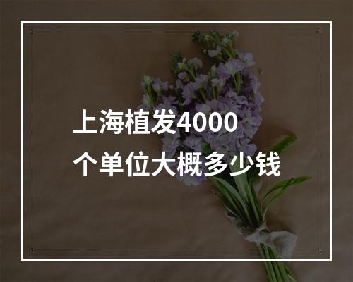 上海植发4000个单位大概多少钱